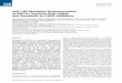 miR-182-Mediated Downregulation of BRCA1 Impacts DNA ...basicmed.med.ncku.edu.tw/admin/up_img/0422-1.pdf · Molecular Cell Article miR-182-Mediated Downregulation of BRCA1 Impacts