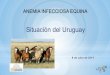 Situación del Uruguay · Situación del Uruguay 8 de julio de 2019 ... SANEAMIENTO - Ubicación geográfica Dr. Roberto Vidal - Programas Sanitarios - ... de la enfermedad en el