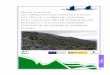 Plan de Gestión de - Castilla-La Mancha · 2017-09-12 · plan de gestión elaborado por: direcciÓn general de polÍtica forestal y espacios naturales. viceconsejerÍa de medio