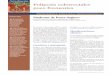 Síndrome de poLipoSiS juveniL pág. 60 Síndrome de Cowden pág. …ww2.aeeh.es/wp-content/uploads/2012/04/v9n2a595pdf001.pdf · 2015-10-25 · gastrointestinal como extragastrointestinal