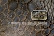 La Historia del Solitario George - Galapagos Conservancy, Inc. · 2020-01-01 · contaba con teléfonos y el correo llegaba semanalmente con suerte), oficiales del World Wildlife