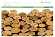 Celulosa - Buckman€¦ · Su negocio no es solamente reducir madera para celulosa, también es reducir las barreras que impiden que su planta alcance su máximo potencial, por ejemplo,