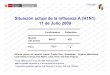 Situación actual de la influenza A (H1N1) 11 de Julio 2009 · EPIDEMIOLOGIA Casos confirmados de influenza A (H1N1) según grupos de edad Perú2009 Fuente: RENACE –DGE-INS -NMRCD