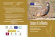 Estepas de La Mancha - Custodia del Territorio · Estepas de La Mancha Agricultura sostenible en zonas Red Natura 2000 de Castilla-La Mancha para la conservación de aves esteparias