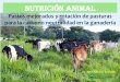 Presentación de PowerPoint · Con rotación de pasturas aumentamos la digestibilidad reduciendo la contaminación por bovino Rotación de pasturas. 21 Bacterias digiriendo pasto