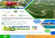 COOPERANTES - MI AMBIENTE · 2019-05-10 · y Ambiente “Mi Ambiente+” tiene con Honduras y el mundo ... EXPO-DIVERSA HONDURAS 2019 ... Ponencia Magistral: Estándar de la lista