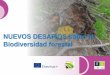 NUEVOS DESAFÍOS sobre la Biodiversidad forestaleforown.ctfc.cat/pdf/49.b_Nuevos desafios... · Ciclos silvogenéticos y bosques gestionados Regeneración = disminución del número