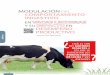 MODULACIÓN DEL COMPORTAMIENTO INGESTIVO - nutriNews, la revista de nutrición animal · 2016-03-02 · MEJORAR LA PRODUCTIVIDAD. Y EL . BIENESTAR ANIMAL. En cualquier especie animal,