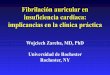 Fibrilación auricular en insuficiencia cardíaca ...cardiolatina.com/wp-content/uploads/2019/07/zareba-esp.pdfHay diversos vínculos mecanicistas entre la insuficiencia cardíaca