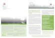 Plan Preliminar de la Declara- ción del Impacto Ambiental ... · Estudio de Planeación & Declaración de Impacto Ambiental Boletín Informativo 5 noviembre 2015 Complete 540 Triangle