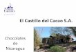 El Castillo del Cacao S.A. · 2018-05-17 · comercializar chocolate, pasta de cacao y «nibs» de cacao de buenas prácticas ambientales y sociales para el mercado local e internacional