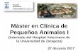 Máster en Clínica de Pequeños Animales Ihcv.unizar.es/Presentacion_Master_2017-18.pdf · CURRICULUM : (hasta 20 puntos) teniendo en cuenta principalmente expediente en asignaturas