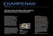 EKARPENAK - Bizilore eskola aktiboabizilore.eus/pdf/Hik-Hasi-Biodantza.pdf · 2017-09-13 · irakasle eta haur eta nerabeentzat gorputz-adierazpen eta biodantza-saioak eman diren