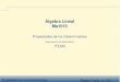 Álgebra Lineal Ma1010cb.mty.itesm.mx/ma1010/materiales/ma1010-12a.pdf · 2011-01-12 · Propiedades de los Determinantes Álgebra Lineal - p. 2/33 Propiedades En esta sección se