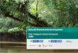Pilar Indígena Visión Amazonía 2020€¦ · proyectos que se presenten, los cuales se encuentren técnica y presupuestalmente sustentados, en virtud al enfoque diferencial étnico
