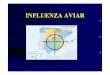 363n influenza aviar v2) - Colegio de Veterinarios Cáceres€¦ · SOSPECHA DE INFLUENZA AVIAR Dir 94/2005/CE 2.Toma de muestras ( muestras patrón) virológicas 5 aves enfermas