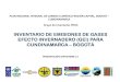 INVENTARIO DE EMISIONES DE GASES EFECTO ...pricc-co.wdfiles.com/local--files/grupo-inventarios-gei...INVENTARIO DE EMISIONES DE GASES EFECTO INVERNADERO (GEI) PARA CUNDINAMARCA –BOGOTÁ