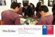 Los Ríos Cultura · “Visiones”, ganador del Fondart Regional 2012. El Día de las Artes Visuales forma parte del Programa Días de las Artes que cada año impulsa el Consejo