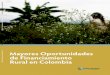 Mayores Oportunidades de Financiamiento Rural en Colombia€¦ · Mayores Oportunidades de Financiamiento Rural en Colombia Eva Gutiérrez y Rekha Reddy Informe n.°: AUS10747 Práctica