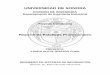 UNIVERSIDAD DE SONORAcp.isi.uson.mx/practicas_docs/212200530-reporte.pdf · 2016-10-19 · 4 1. INTRODUCCIÓN En la reglamentación de la Universidad de Sonora se tiene contemplado