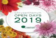 Chrysanthemum OPEN DAYS 2019 · Este año estamos felices de presentar “Better4Less”. El icono “Better4Less” identifica variedades que, además de sus características sobresalientes,