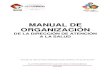 MANUAL DE ORGANIZACIÓN...MANUAL DE ORGANIZACIÓN DE LA DIRECCIÓN DE ATENCIÓN A LA SALUD Municipio de Valle de Chalco Solidaridad, Estado de México a 25 de julio de 2019“2019