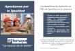 Díptico Plan de Igualdad Femepafemepa.org/blog/wp-content/uploads/2017/02/femepa... · 2017-02-07 · motivación y el buen clima laboral Mejora productividad competitividad empresarial