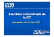 Asamblea extraordinaria de la CIT€¦ · Certificado de aprobación - Principios básicos (Anexo 3) • Formato estándar - Anexo 4 Page 19 (c) International Road Transport Union