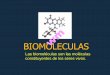 BIOMOLECULAS - biolobi.com · BIOMOLECULAS Las biomoléculas son las moléculas constituyentes de los seres vivos. wm. LAS BIOMOLÉCULAS También se denominan “principios inmediatos