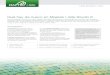 Qué hay de nuevo en Maptek I-Site Studio 6€¦ · Generalidades I-Site Studio 6 incluye dos nuevos módulos de presentación de informes y actualizaciones principales para la funcionalidad