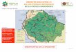 IMPACTO DEL COVID-19 EN LOS PUEBLOS INDÍGENAS DE LA … · 4 0 •YERAL Fuente: Organización Regional de Pueblos Indígenas del Amazonas -Venezuela- (ORPIA) GUYANA* Contagios conﬁrmados