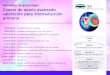 CANCER DE OVARIO - IVO · PDF file Workshop de ginecología Cáncer de ovario avanzado valoración para citorreducción primaria 9.00-9.15 h. 9.30-9.50 h. 9.50-10.20 h. 10.20-10.40