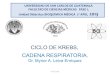 UNIVERSIDAD DE SAN CARLOS DE GUATEMALA ...juventud-medica.weebly.com/uploads/2/1/2/2/21229712/...Cadena Respiratoria y Fosforilación Oxidativa •Las enzimas de la cadena respiratoria
