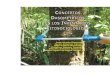 Conceitos Dendrométricos nos Levantamentos Fitossociológicos · 2015-05-07 · Dasometria: especialidad de la Ingeniería Forestal que trata de la mensura (mediciones) en el árbol