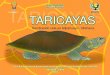 Instituto de Investigaciones de la Amazonía Peruana - IIAP | …iiap.org.pe/Upload/Publicacion/PUBL914.pdf · 2012-08-14 · 3 La taricaya es una tortuga o quelonio que vive en el