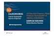 Jornada sobre Empresa y Medio py Ambiente: Oportunidades ...€¦ · py Ambiente: Oportunidades de negocio y sostenibilidad EJEMPLOS CERCANOS Rafael Sánchez RamírezSánchez Ramírez