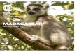 MADAGASCAR - theafricanexperiences.comtheafricanexperiences.com/data/downloads/madagascar_dic119747… · Madagascar es ante todo una “Aventura”, un viaje lejos de senderos trazados