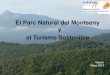 El Parc Natural del Montseny y el Turismo Sostenible€¦ · Montseny a l’escola Viu el parc ... 28 municipios, 2 províncias, 3 comarcas CETS Montseny –2016 - 20120 PN del Montseny
