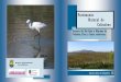 Patrimonio Natural de Colindresturismocolindres.es/wp-content/uploads/2016/02/... · Catalogadas siete especies, todas ellas ligadas a la presencia de arroyos, charcos, manantiales