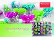 Holi Colors - Metaltex · 2019-03-04 · Peely Sparschäler • 22 Stück gepackt in transparenter Dose • Griff aus Kunststoff ABS • Inox-Klinge • Banderole Artikel Farbe EAN-13