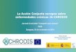 La Acción Conjunta europea sobre enfermedades crónicas JA …chrodis.eu/.../uploads/2015/06/WP1-Jornada-Cronicidad-25-11-2014.… · Jornada Cronicidad “Compartir para avanzar”