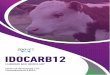 ELABORADO BAJO NORMAS GMP - ZoovetDebido al alto riesgo de transmisión de la piroplasmosis y anaplasmosis a los animales no infectados, se recomienda la aplicación de IDOCARB12 con