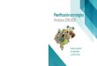 Planificación estratégica Honduras 2016-2020 · 2017. 3. 30. · 4 Planicación Estratégica Honduras 2016-2020 La problemática del trabajo infantil va más allá de las fronteras