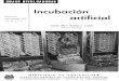 Incubación MADRID artificial · Preparación de la incubadora. Contando con un local adecuado para sala de incubación ; adquirida la incubadora más conveniente para subvenir a