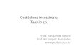 Cestódeos intestinais: Taenia sp.profbio.com.br/aulas/ac2_12.pdf · Taenia sp. •Reino: Animalia •Filo: Platyhelminthes •Classe: Cestoda •Família:Taeniidae •Gênero:Taenia
