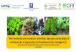 Herramienta para evaluar prác0cas agropecuarias bajo el ...ledslac.org/wp-content/uploads/2016/09/presentacio... · (*) ASAC Agricultura Sostenible Adaptada al Clima – traduccion