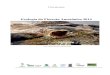 Ecologia da Floresta Amazônica 2014€¦ · Gabriela Decker, Bruno G. Melati, ... Júlia F. dos Santos & Isabel C. Barragán..... 47 A formiga Pheidole minutula investe igualmente