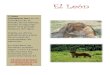 Presentación de PowerPoint - Intendencia de Montevideo.zoo.montevideo.gub.uy/sites/zoo.montevideo.gub.uy/files/... · 2019. 2. 27. · El león (Panthera leo) es un mamifero de la