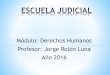 Módulo: Derechos Humanos Profesor: Jorge Rolón Luna Año 2016€¦ · ii) la solución de problemas internacionales de carácter económico, social, y sanitario, y de otros problemas