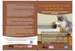 Consejos: de los felinos · de los felinos Información útil para los dueños de gatos La suciedad en la casa es una de las razones más comunes por la que los dueños de mascotas